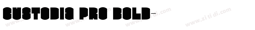 Custodia Pro Bold字体转换